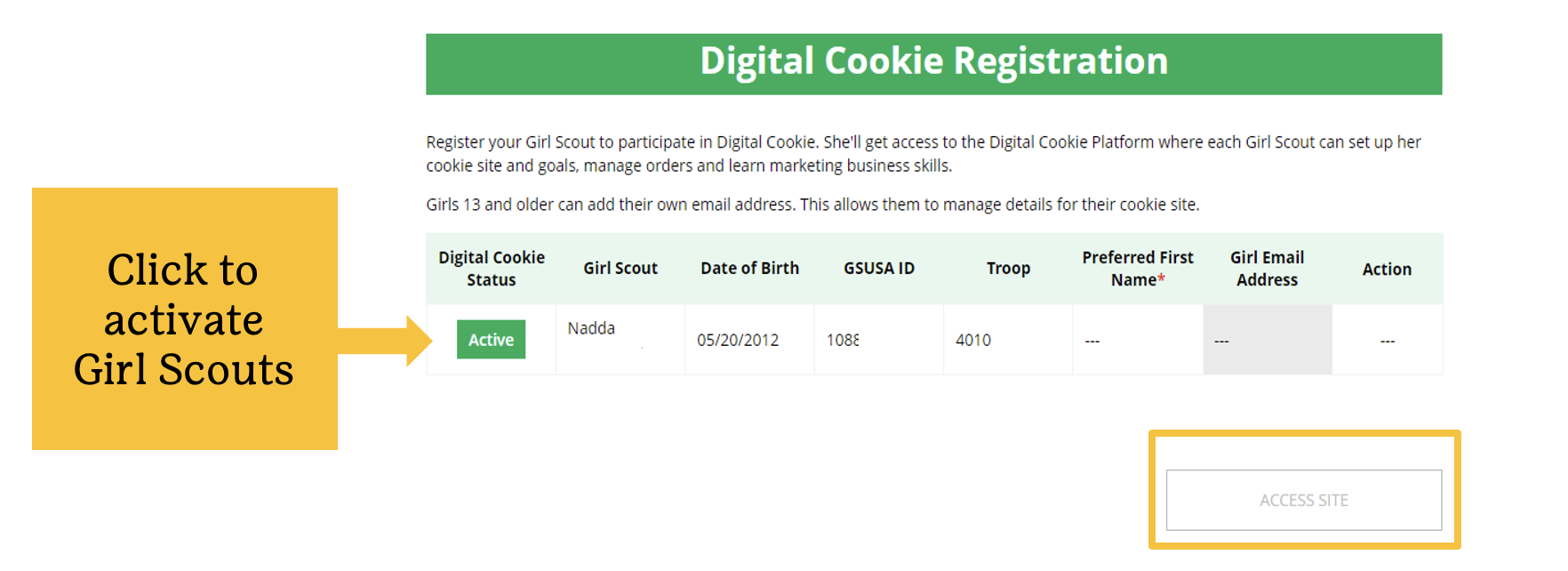 For Cookie Sellers Girl Scouts
